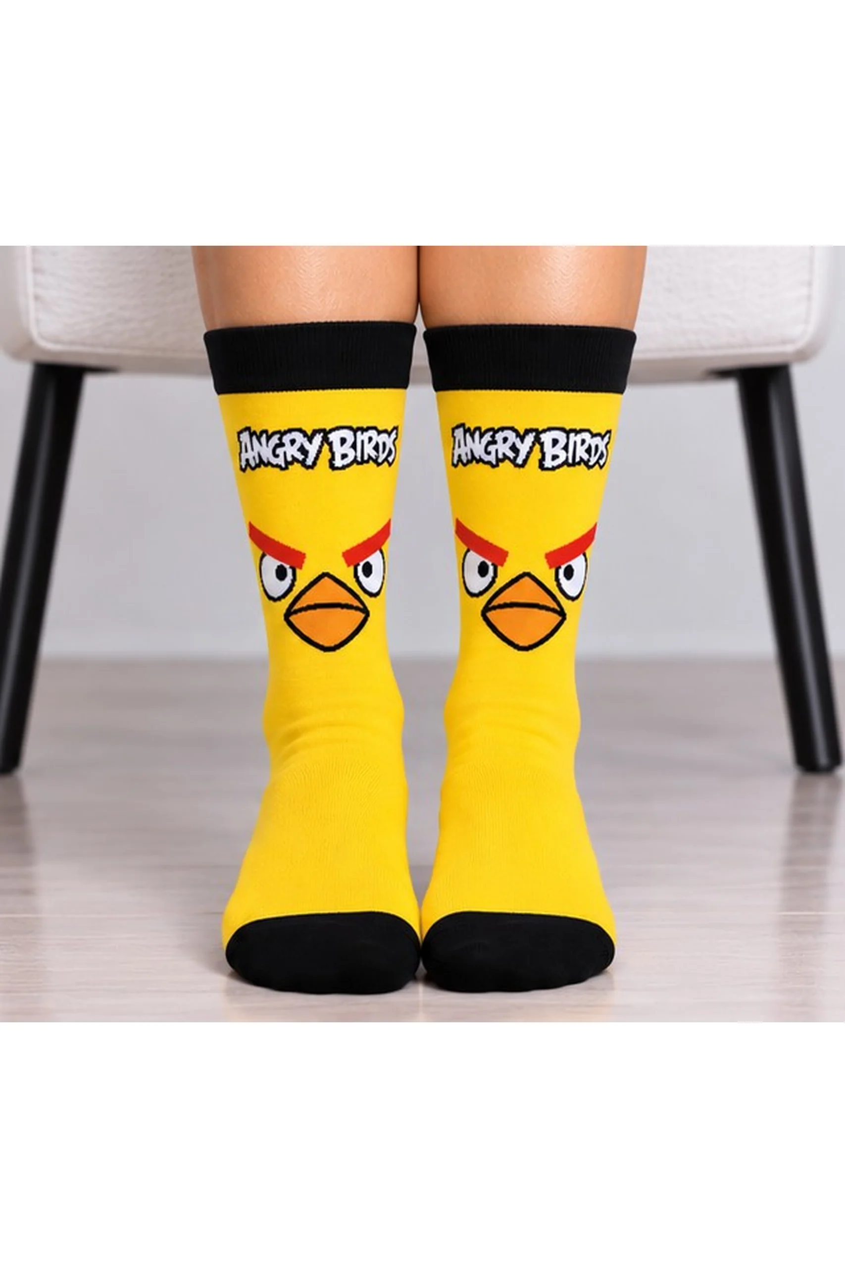 Angry_Birds_Foto_1