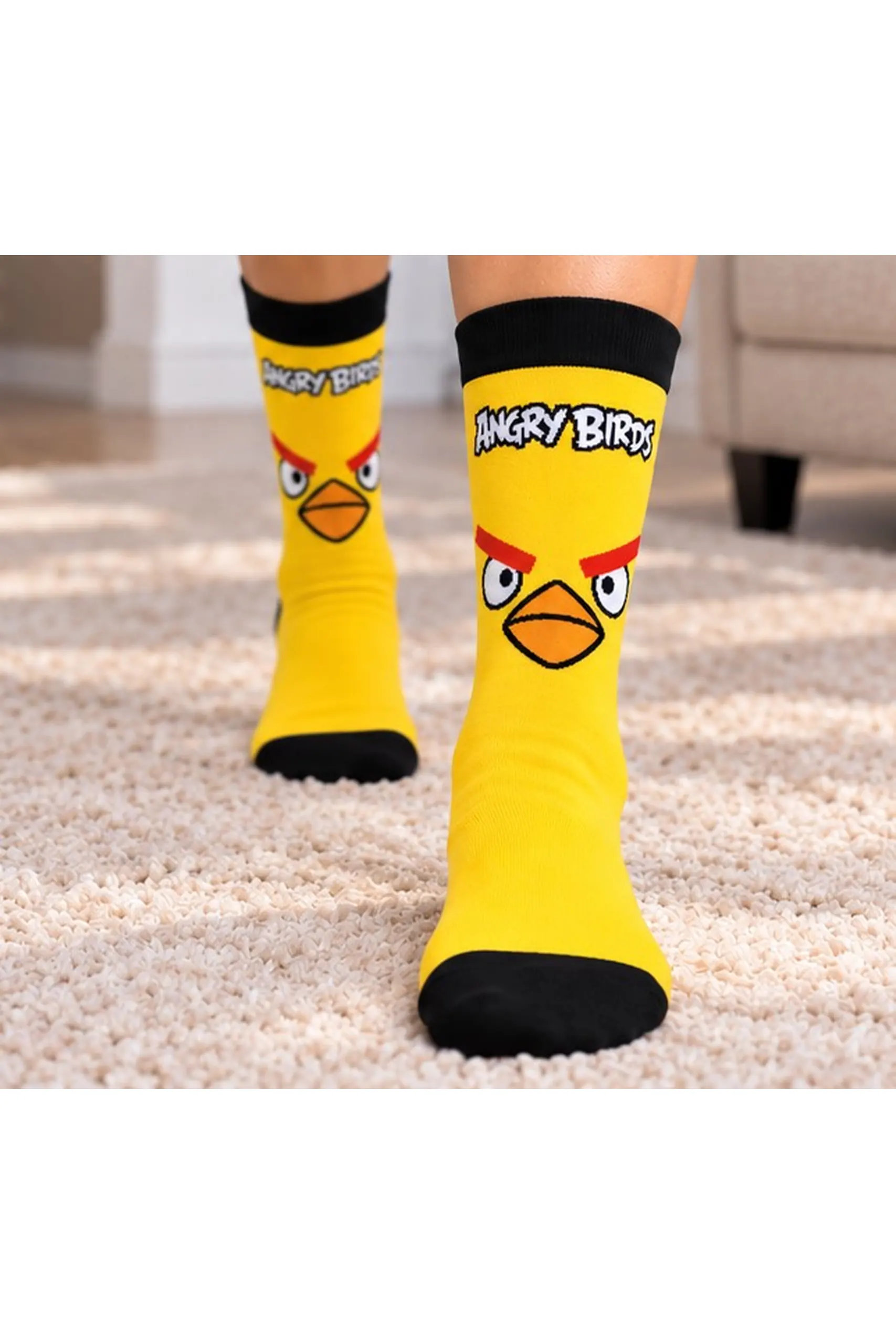 Angry_Birds_Foto_2