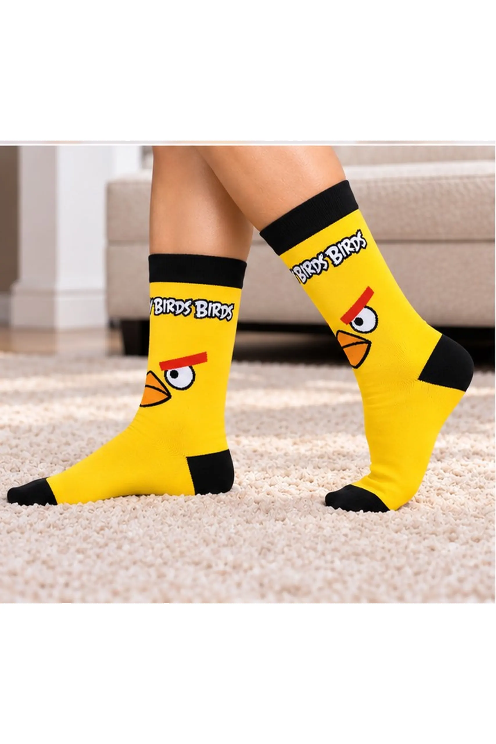 Angry_Birds_Foto_3